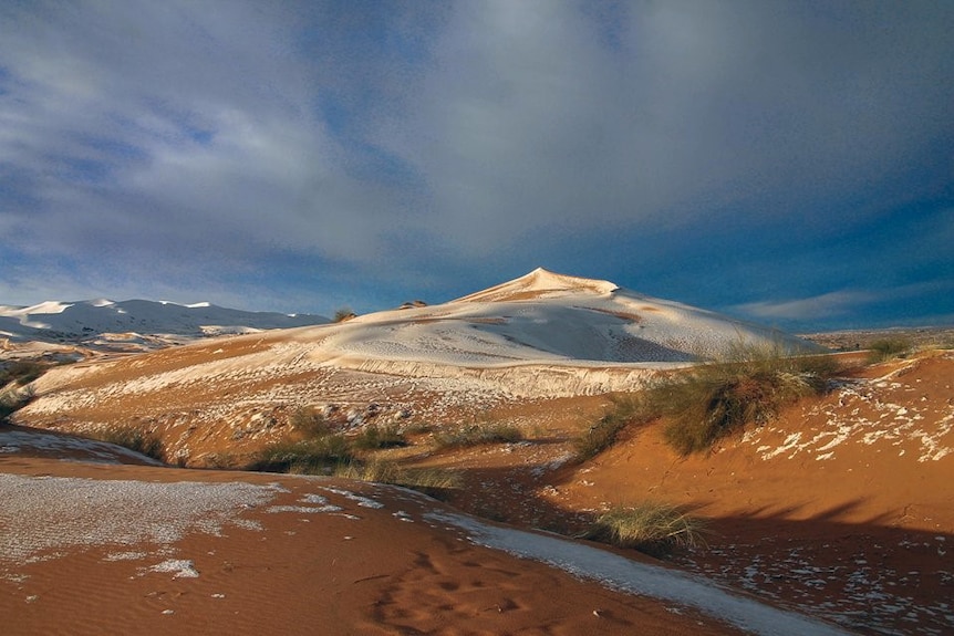 Snow falls on the Sahara Desert after a freak storm hits the area.