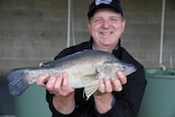 a man holds a medium sized fish 