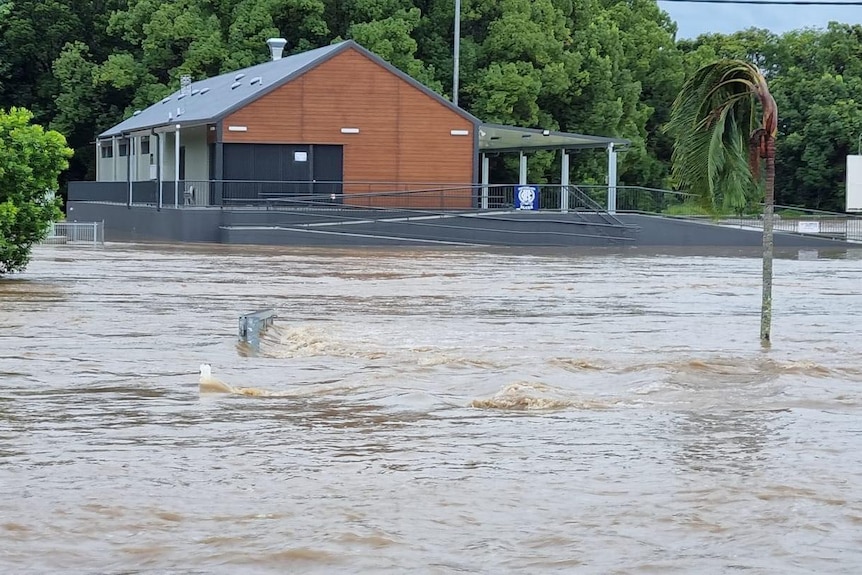 Palmwoods flooding