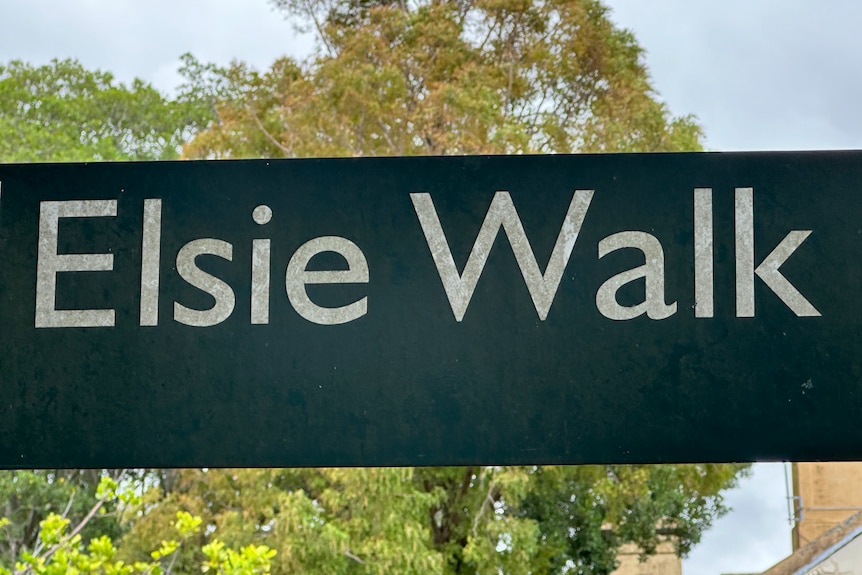 A street sign for Elsie Walk with trees in background