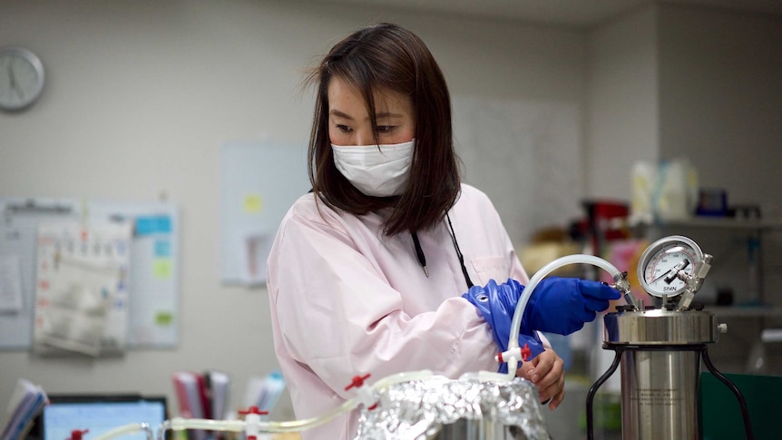 A Japanese woman in a face mask and gloves measuring radiation in a lab.