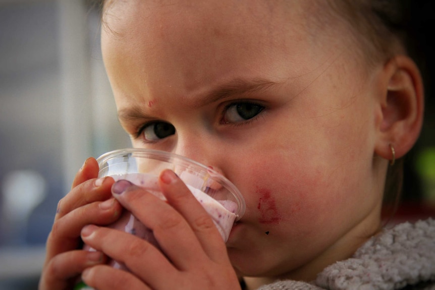 A close up of a young child drinking a pink-coloured berry smoothie and looking at the camera. Very cute.