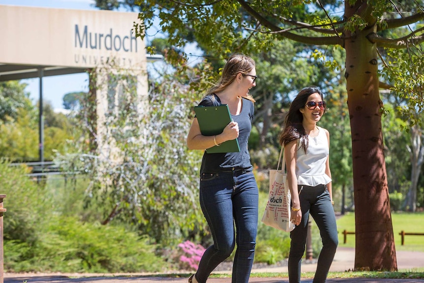 Two Murdoch University students walk and talk on campus with trees and a building in the background.