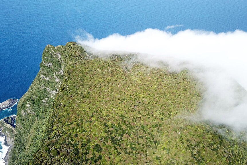 Clouds over an island mountain, covered in forest.