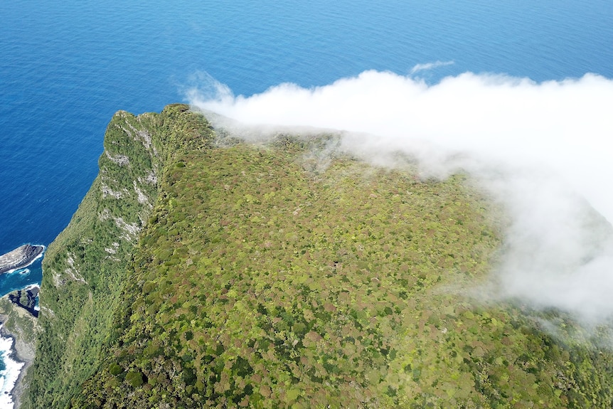 Clouds over an island mountain, covered in forest.