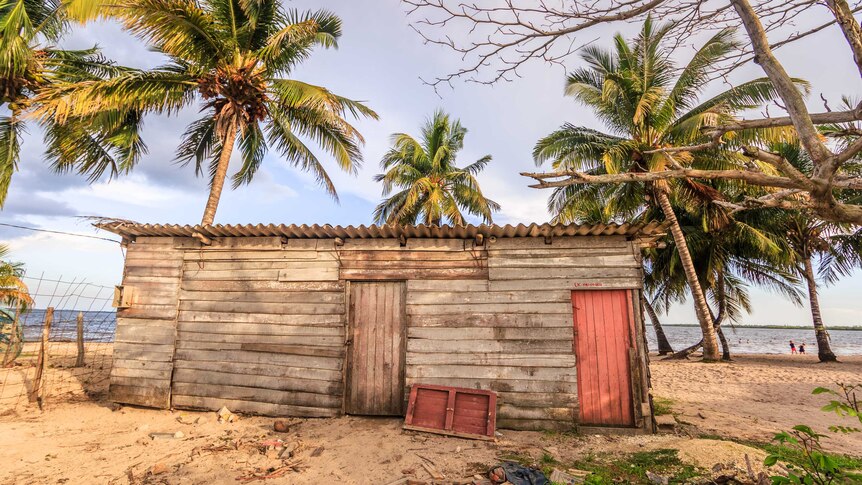A small timber shack on a Cuban beach. Palm trees are overhead.