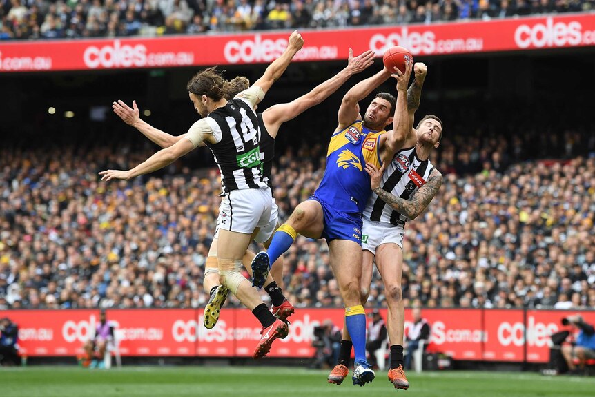 Three Collingwood players try to spoil West Coast forward Jack Darling as he flies for a mark during the AFL grand final.