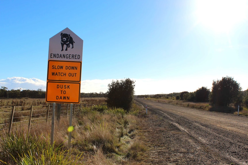 Musselroe Road in wukalina/Mt William National Park