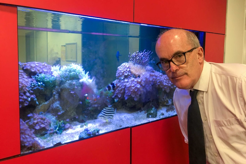 Professor Ove Hoegh-Guldberg standing next to a fish tank filled with coral and tropical fish