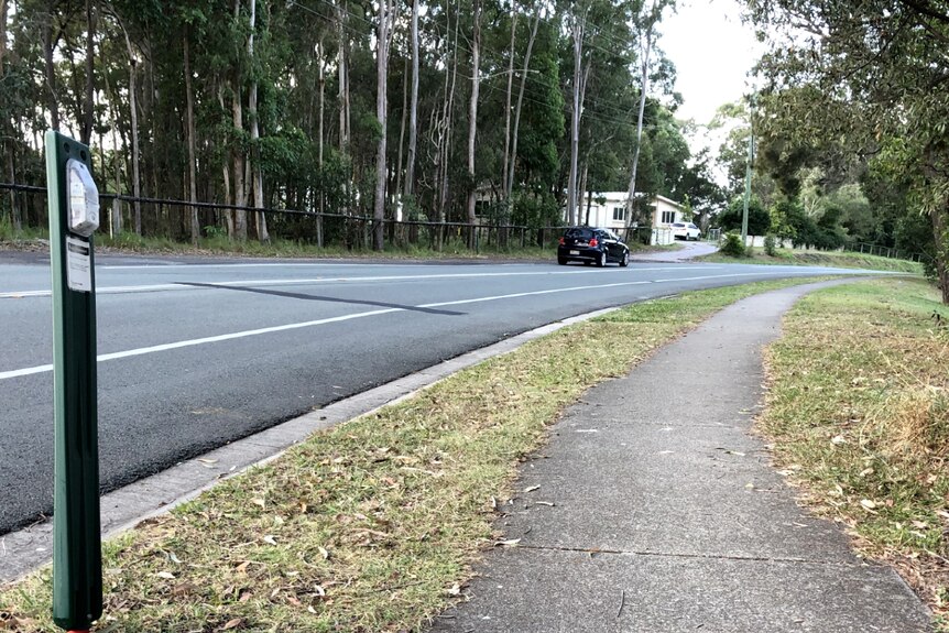 A road lined on one side with tall gum trees. On the side of the road a small box is mounted to a short green post