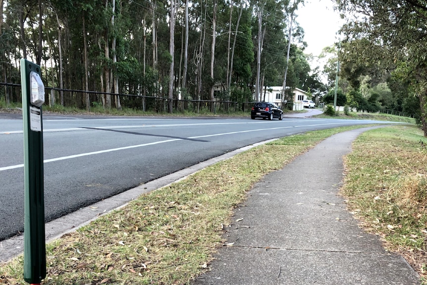 A road lined on one side with tall gum trees. On the side of the road a small box is mounted to a short green post