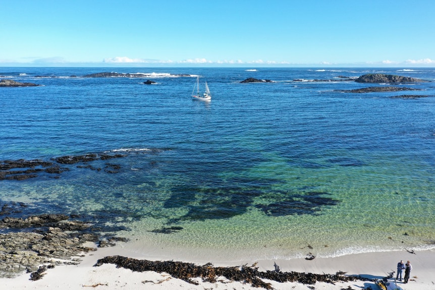 'The Shank' on Tasmania's wild south-west coast