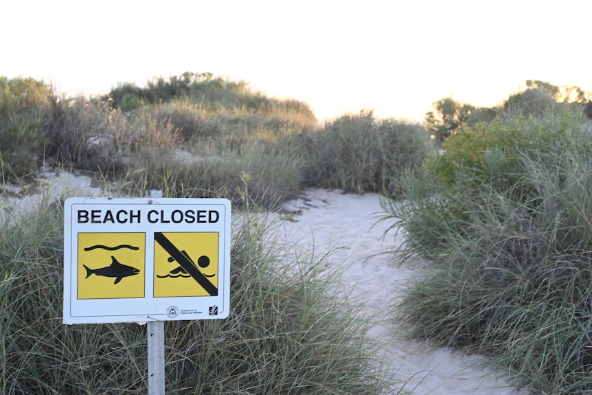A sign saying 'beach closed' in front of a dune track. 