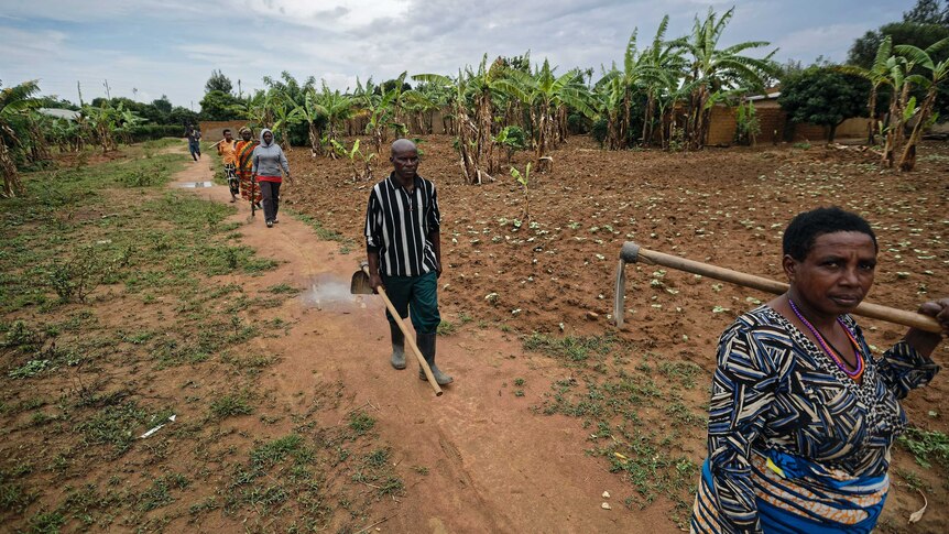Frederick Kazigwemu walks carrying a hoe with others also walking in a field.