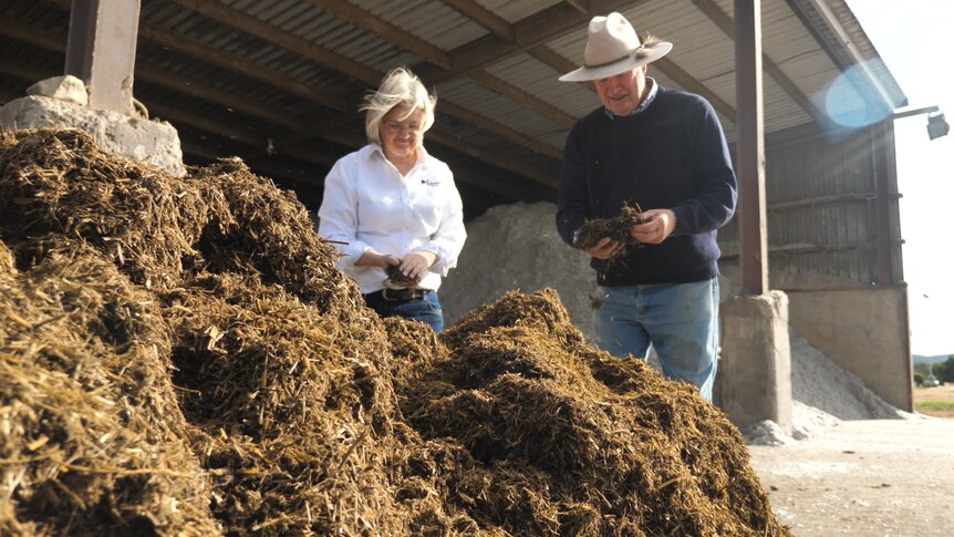 A man and a woman inspect handfuls of manure taken from a large pile in front of them.