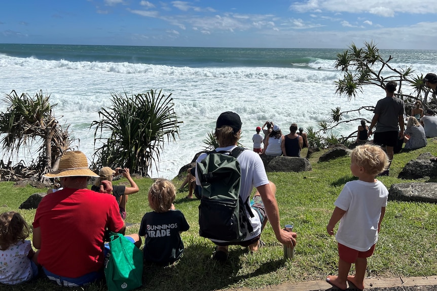 A family sits on Burleigh headland watching wild surf