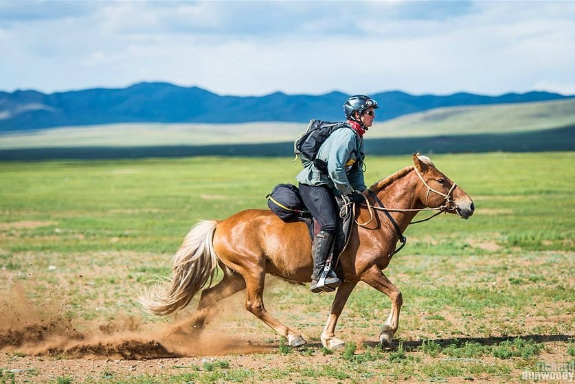 An endurance rider on a semi-wild Mongolian horse during the Mongol Derby.