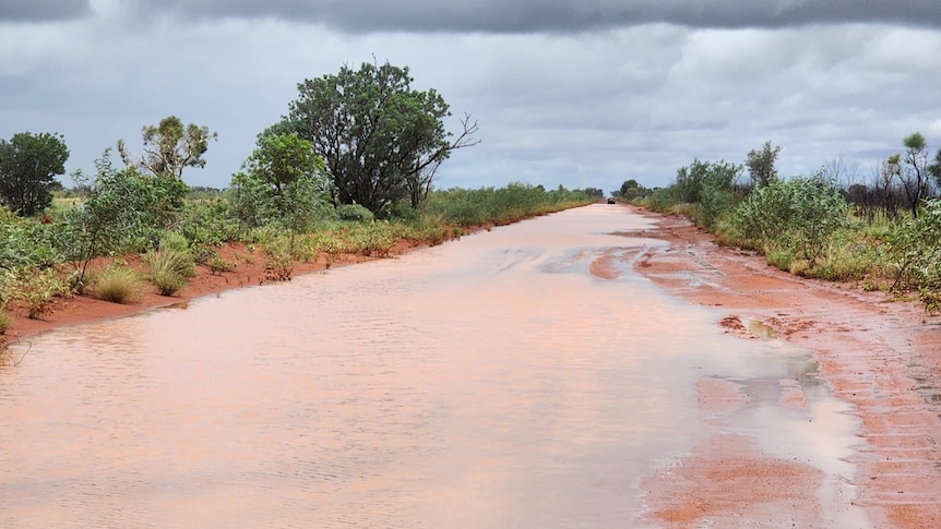 Floodwaters over a red dirt road with green shrubbery on either side. 