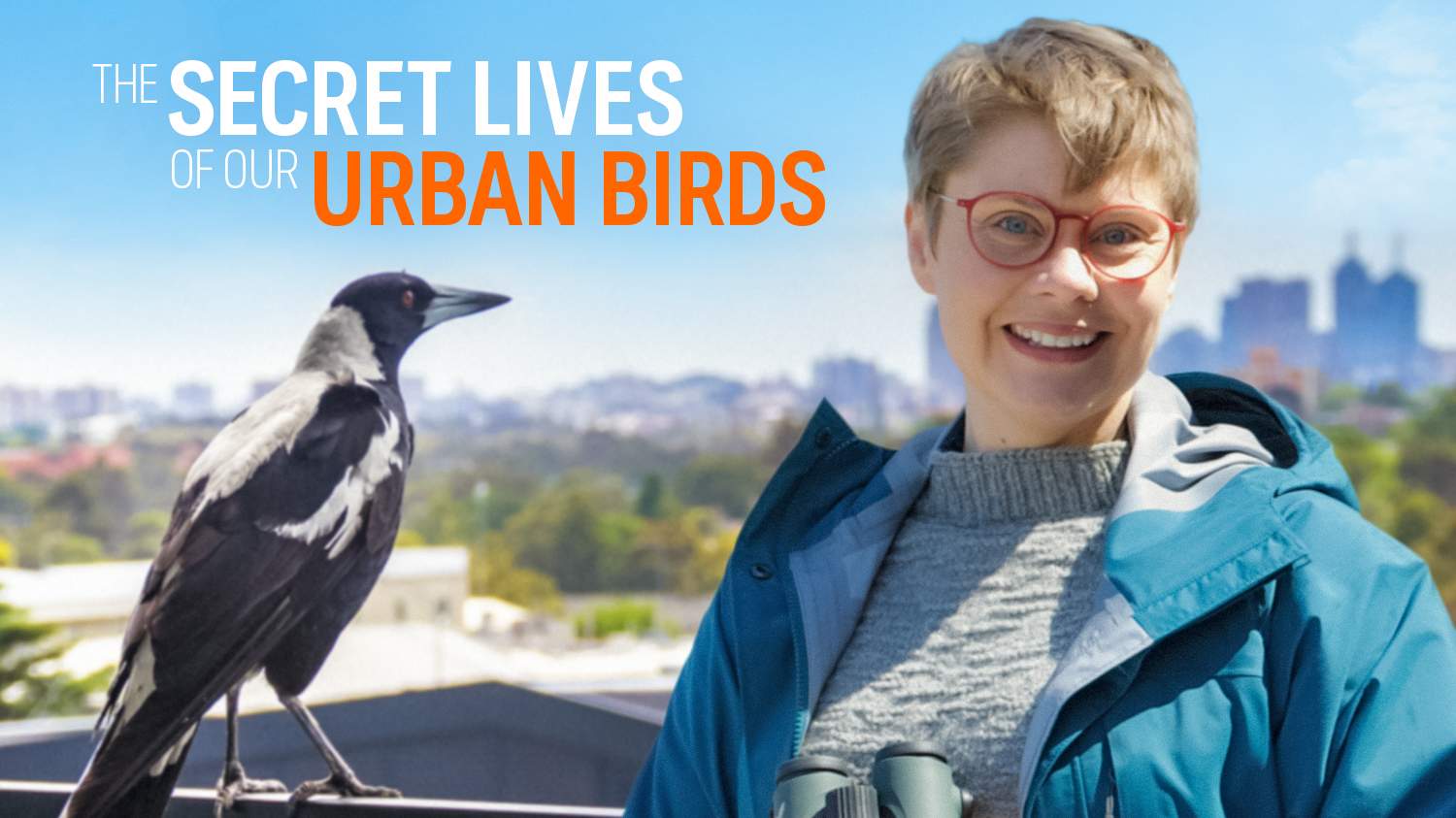 The Secret Lives of Our Urban Birds - ABC Content Sales