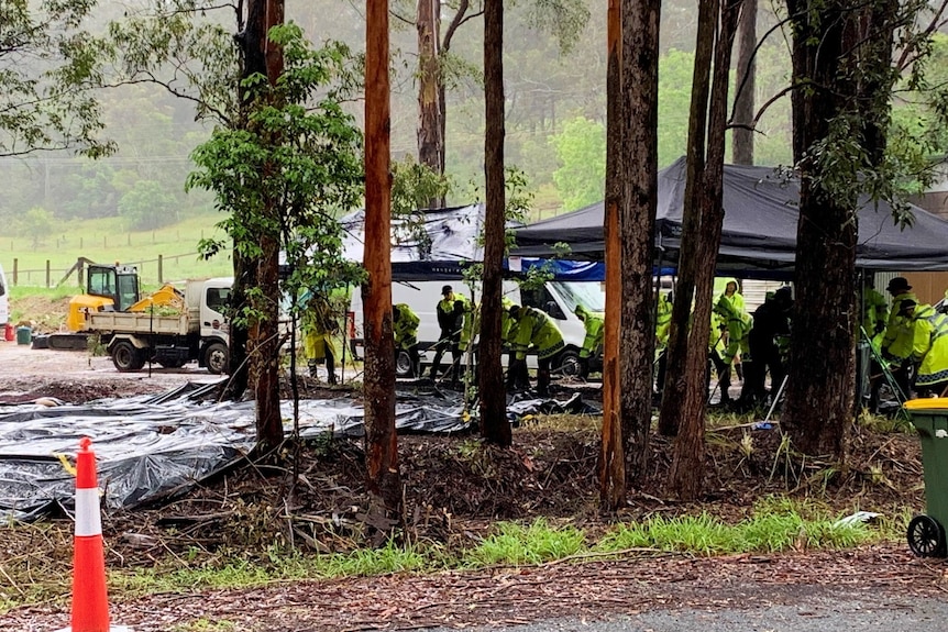 A group of people search under a tarp for William Tyrrell's remains