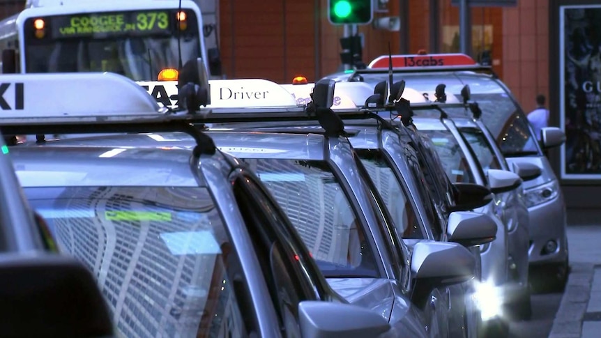 A line of silver taxis in the city.