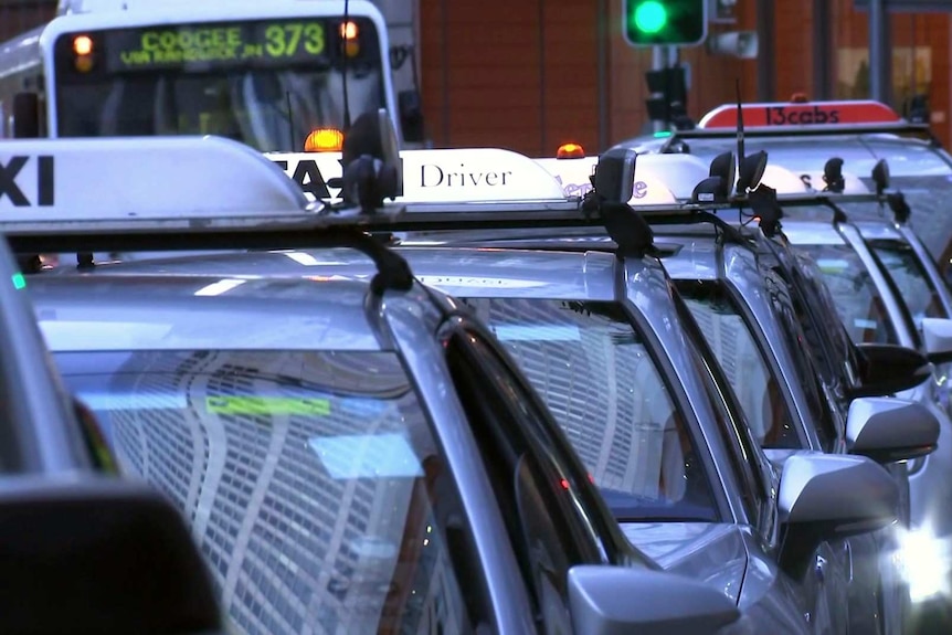 A line of silver taxis in the city.