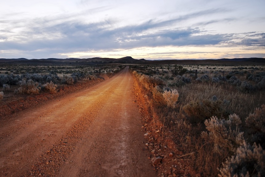 A dirt road stretching into the distance, with scrub on either side, at sunset.