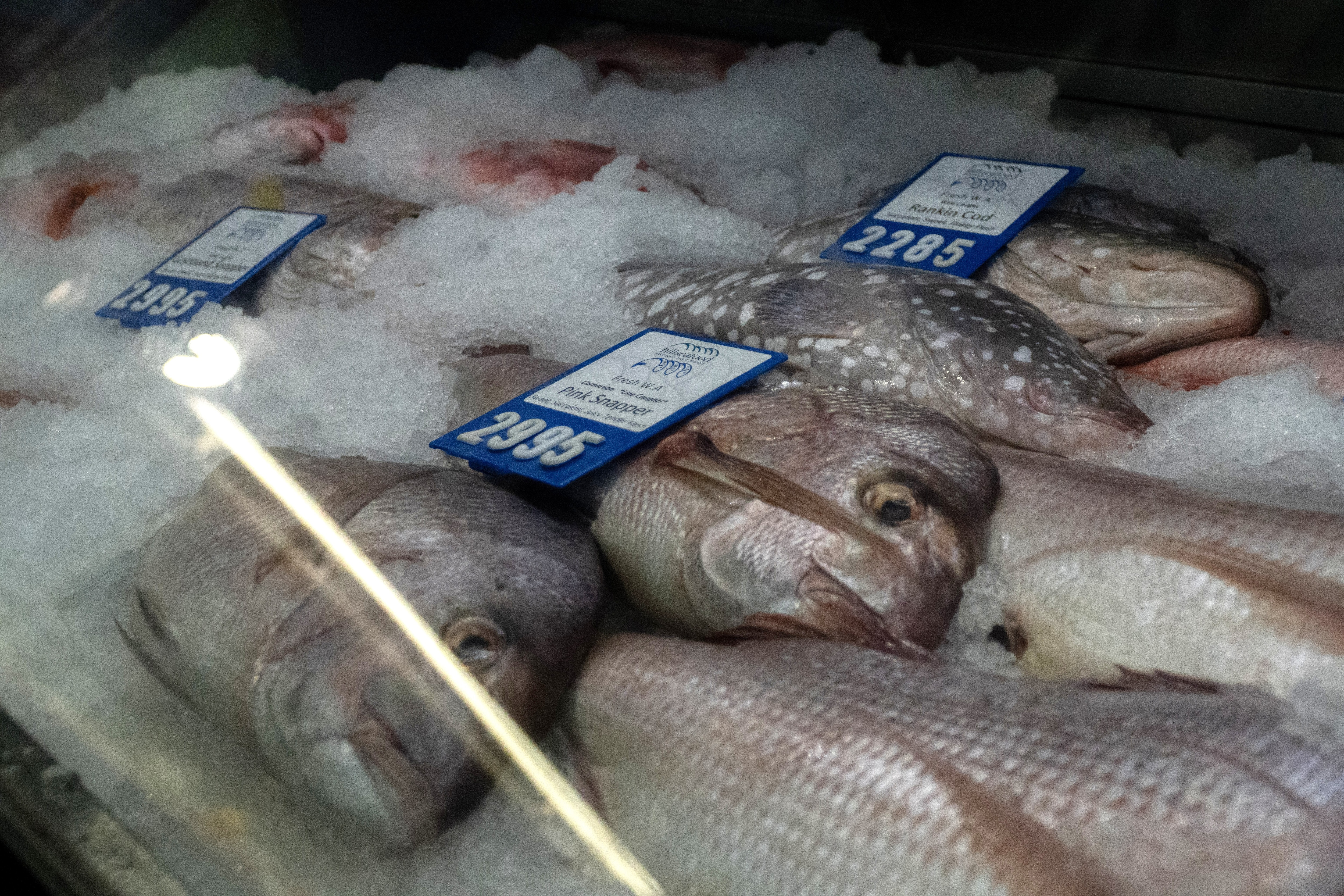 Fish price spike, supply issues after WA fishing ban