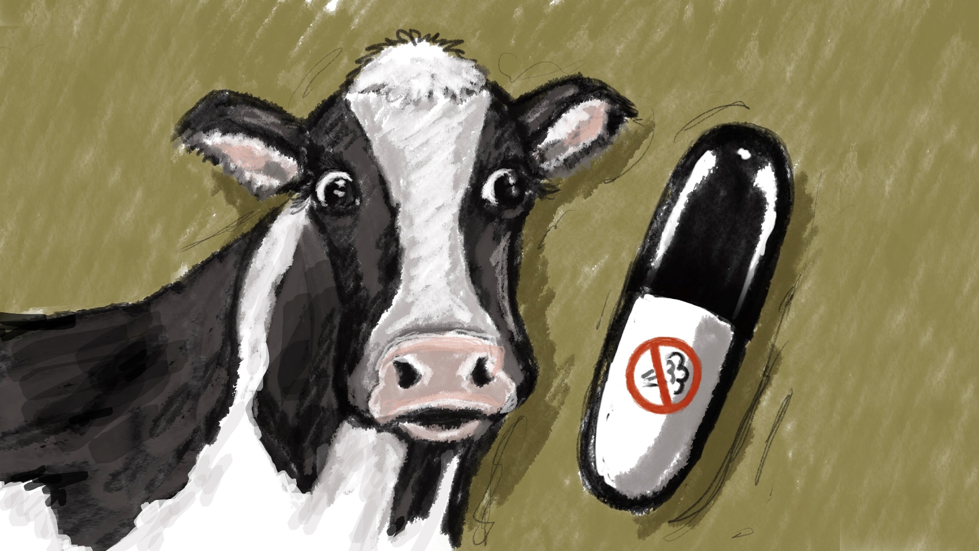 An illustration of a cow next to a pill with a no methane sign on it