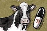An illustration of a cow next to a pill with a no methane sign on it.