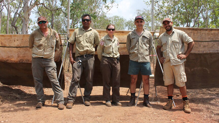 A group of park rangers and a scientist stand in front of bat traps in the Darwin bushland.