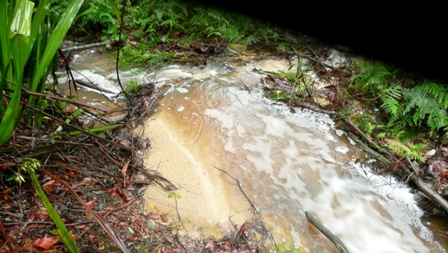 Run-off from the Mangrove Mountain landfill site during recent heavy rain.