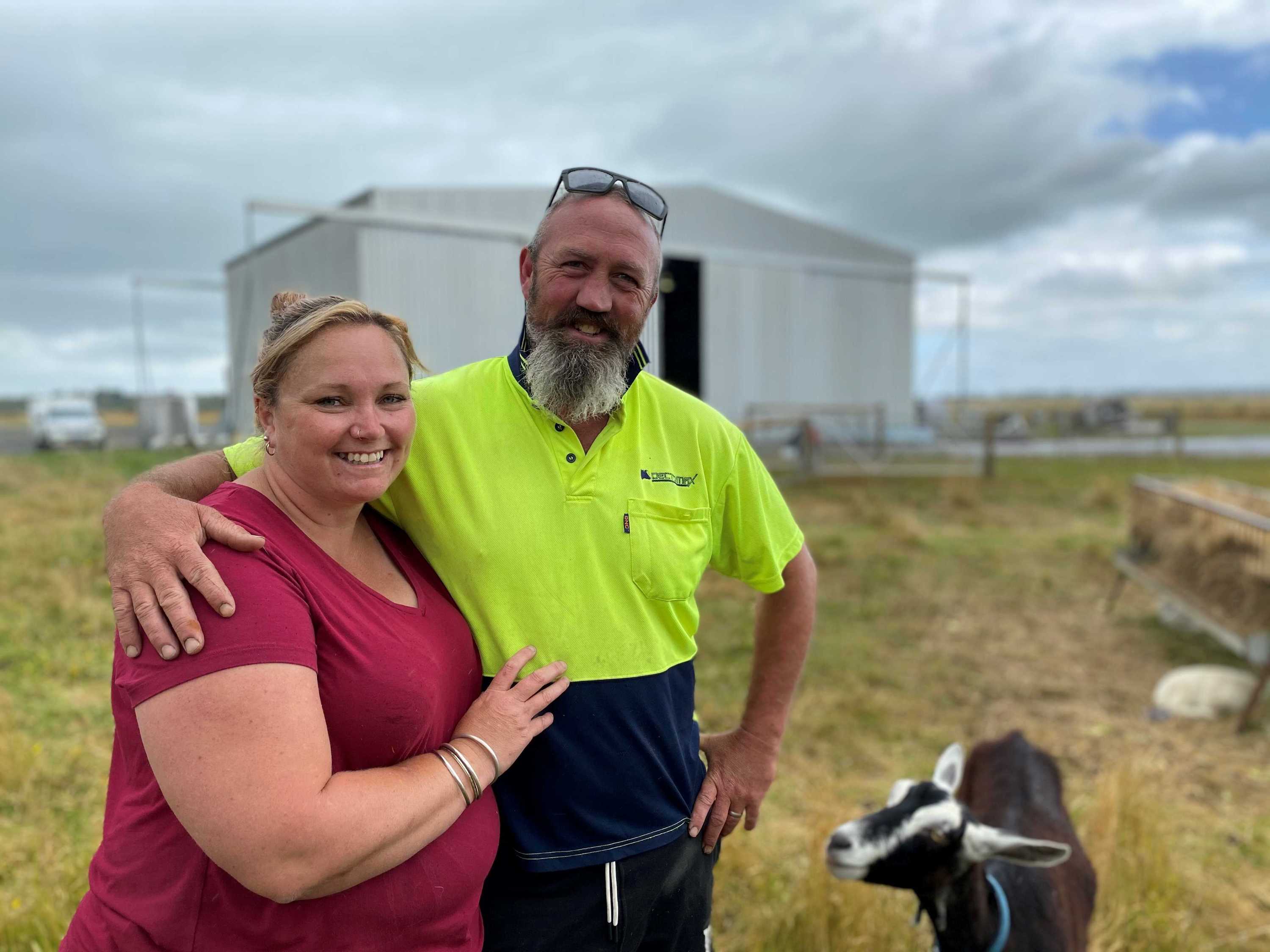 Gift of goats helps Tasmanian dairy farmer recover mental health ABC News
