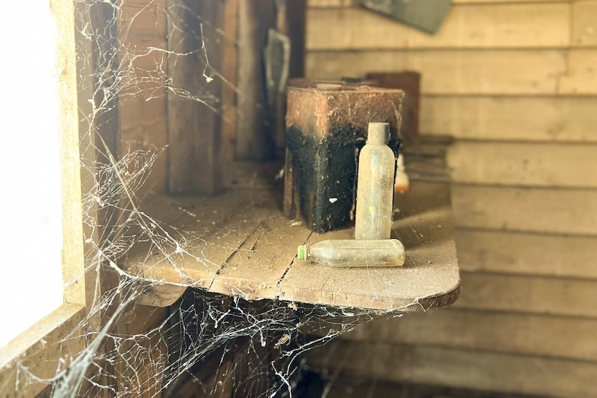 Old bottles sit on wooden shelf covered in cobwebs