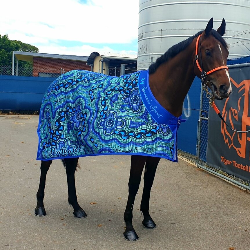 A brown horse in a blue cloak