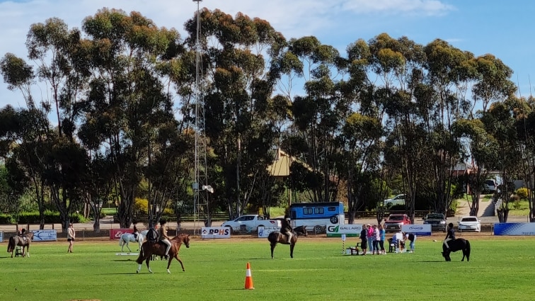 Horses with riders gallop in a field, with chairs in the foreground for spectators at the Pinnaroo Show