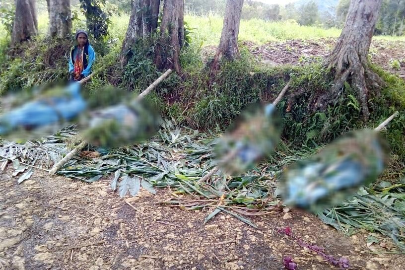 On the side of a dirt road, bodies are pictured blurred in blue mourning wraps tied to logs, as a person watches over them.