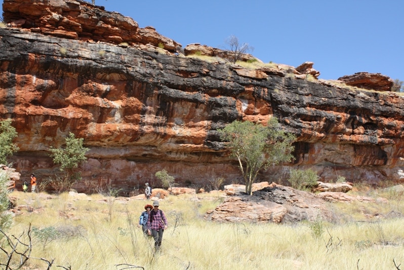 People walk through dry grass with a large rock formation in the background