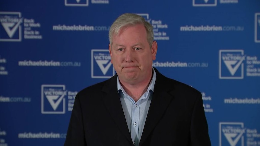 Victorian Liberal frontbencher David Davis says Bernie Finn's posts were "wrong".