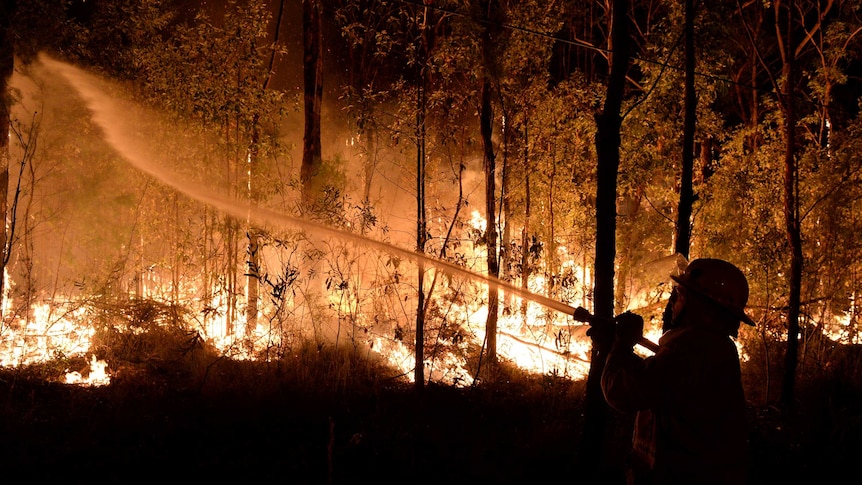 A firefighter battles a blaze in the Blue Mountains on Thursday October 17, 2013