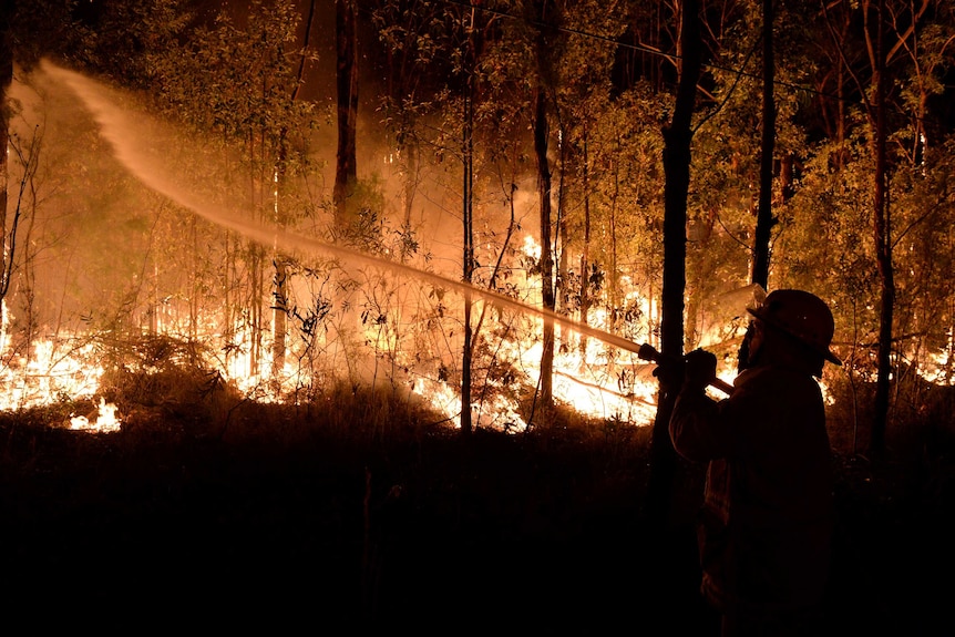 A firefighter battles a blaze in the Blue Mountains on Thursday October 17, 2013