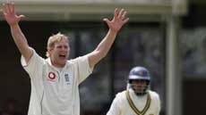 Matthew Hoggard appeals for the wicket of Dilshan.