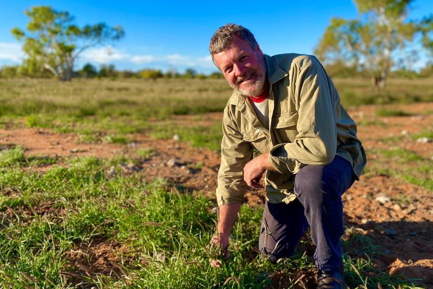 Man standing on green grass.