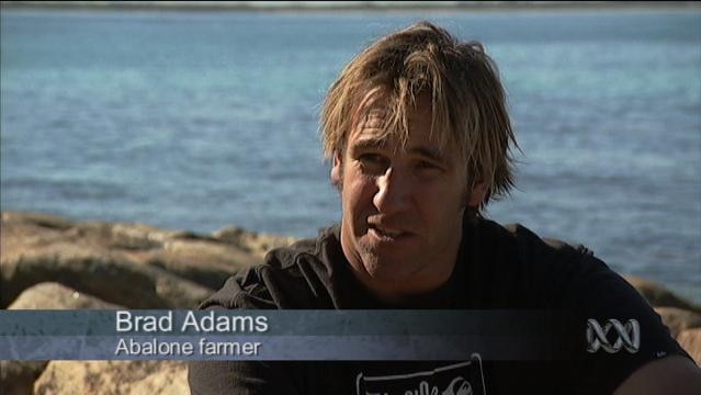 A man sits beside the sea, text overlay reads: "Brad Adams, Abalone farmer"