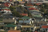 Hobart suburban housing