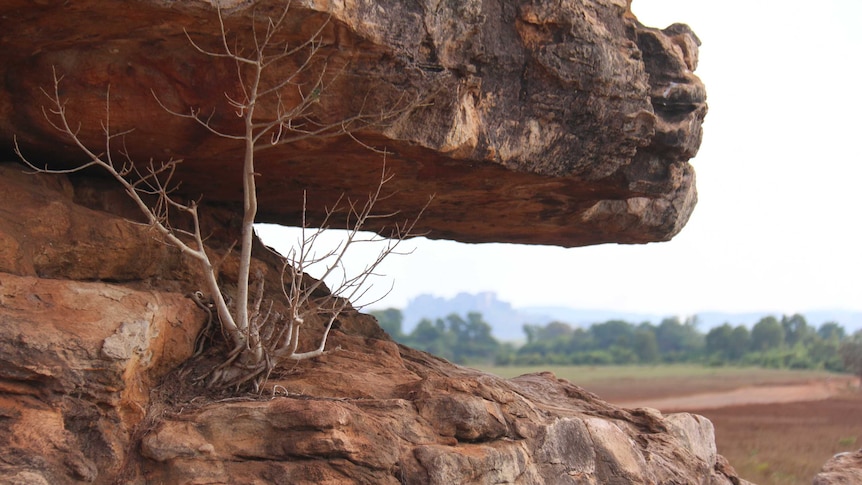 Close up of two red rocks with the lush landscape in the background