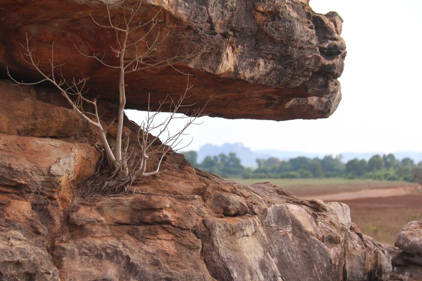 Close up of two red rocks with the lush landscape in the background