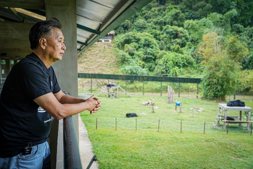 Vietnamese man wearing black top and jeans leaning on a railing looking out at a bear sanctuary.