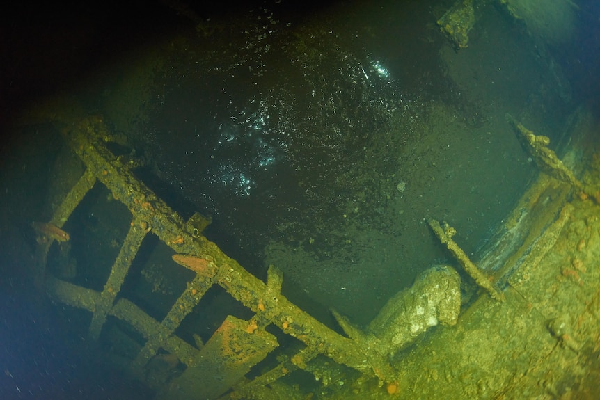 An underwater picture showing murky green water and some dark bubbling oil.