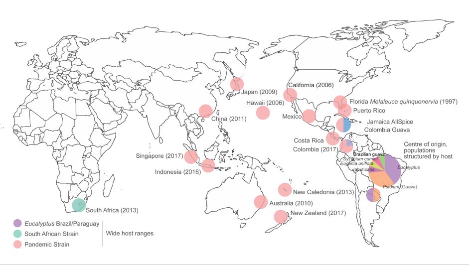 Map of myrtle rust spread across the globe